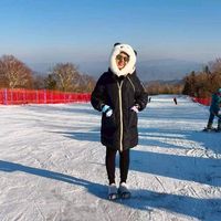 koykoykorn