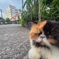 kimmy_im