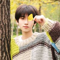 fan_tffamily19