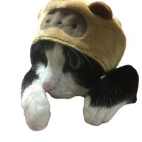 オリジナル楽曲 - ぽんのすけ