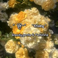 khaing.3525
