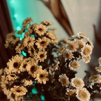 original sound - loner 🦋