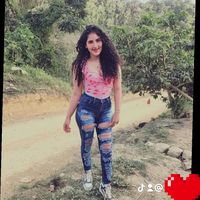 sulmiflores504
