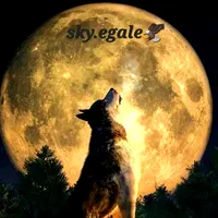 original sound - sky_egal