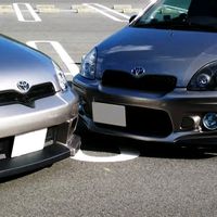 vitz.gang