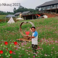 nhạc nền - Npau Suav Los Tiag