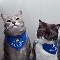 mamaimemeow