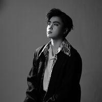 âm thanh gốc - Tuấn Dũng Nguyễn