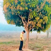 lonely.sabbir4