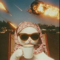 الصوت الأصلي