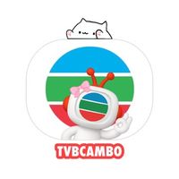 original sound - TVB_Cambo