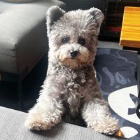 rainraineeataway