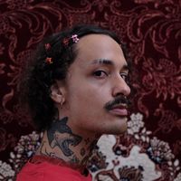 alexnotalexanderokay