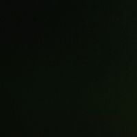r_rl27