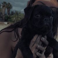 victoriaaorz_
