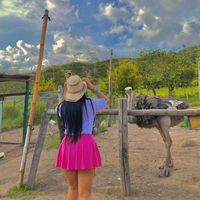 laupareja09_24