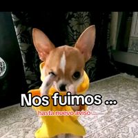 soldemediodia38