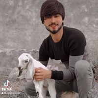 rajumalik899