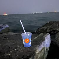 وداعاً اكسبو