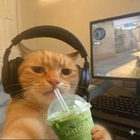 suara asli - Llody