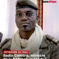 original sound - mol.naza