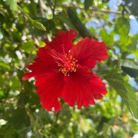 things_to_repost81