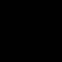 carfoon521