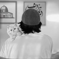 الصوت الأصلي