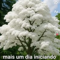 som original