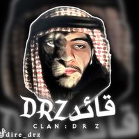 dire_drz