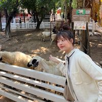 cutie.cutee2