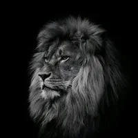 original sound - s_ok202