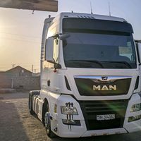 dawut667