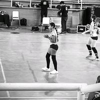 anto..ccs03