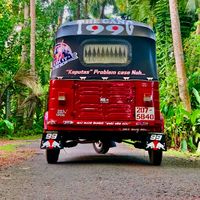 red_berry_207