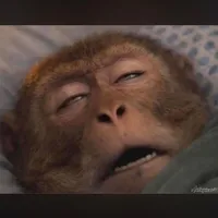 original sound - hu.nhn.phm72