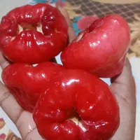 original sound - asnilimau