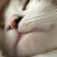 오리지널 사운드 - 노래 들어