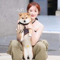 mj06190513