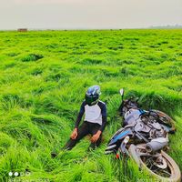mahamidulhasan1120