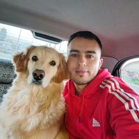 ferchocas11