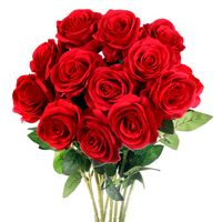 salma_hadi1