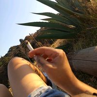 tejemostusdreadloocks