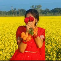 tmr.amr.golpo53