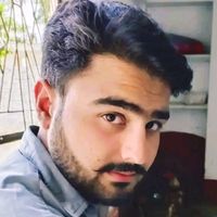 ameerhamza.700