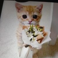 เสียงต้นฉบับ - น้องออกัส