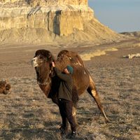 оригинальный звук