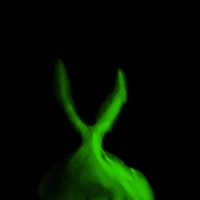 cómo le harán las gallinas