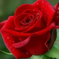 original sound - .khosiyat