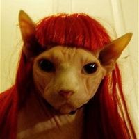 gabizinhadalyn